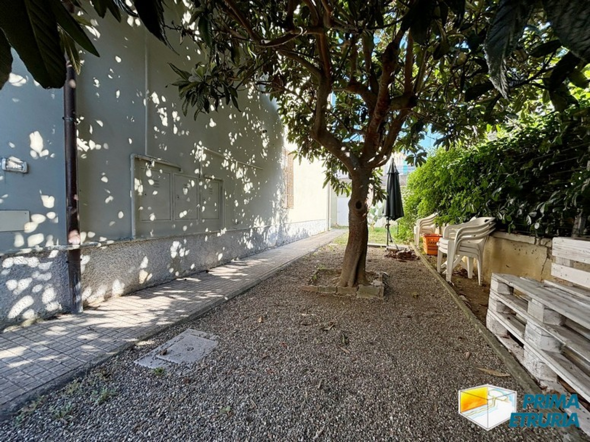 - GROSSETO - Spazioso Trilocale al piano terreno, Zona Barbanella