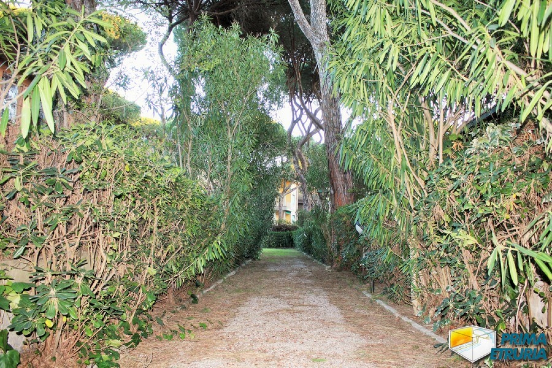 TRE CAMERE CON GIARDINO VIA MONTECRISTO - ZONA ROSMARINA -